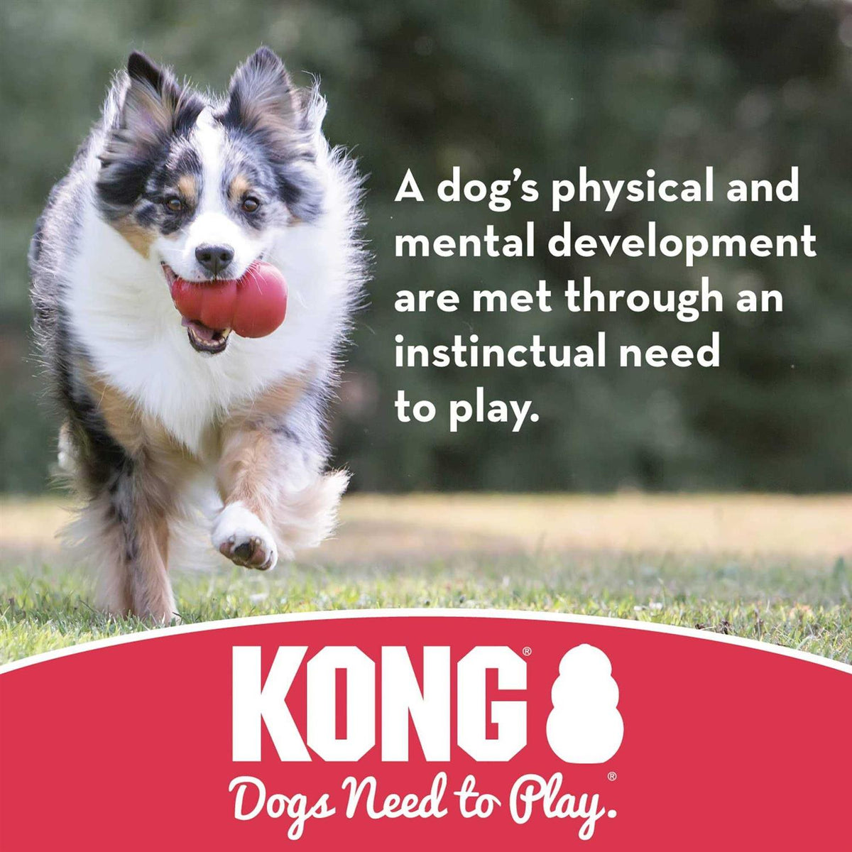 Puppy Ball with Hole Dog Toy W3956