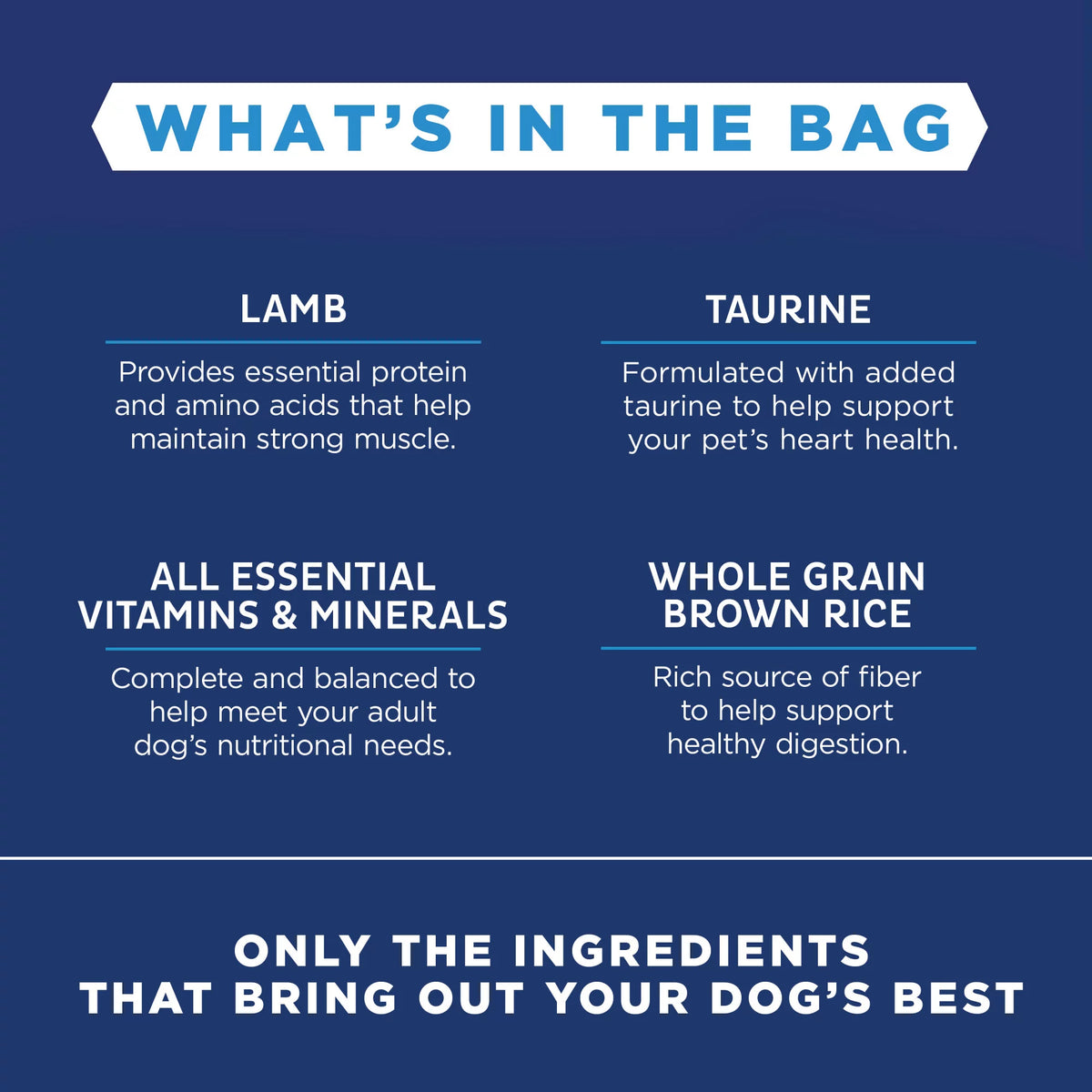 4 Pounds Limited Ingredient Dry Dog Food Y40944