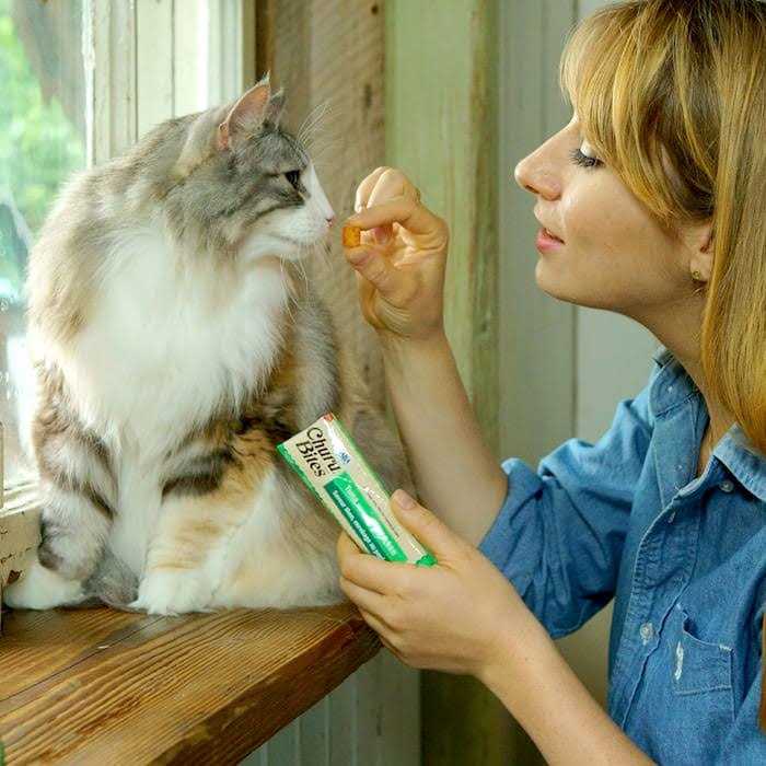 Chicken Recipe Cat Treat S832363
