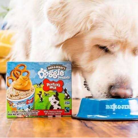 Frozen Dog Dessert E62194