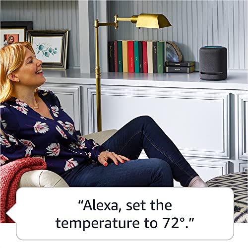 Charcoal Amazon Echo Studio R212594