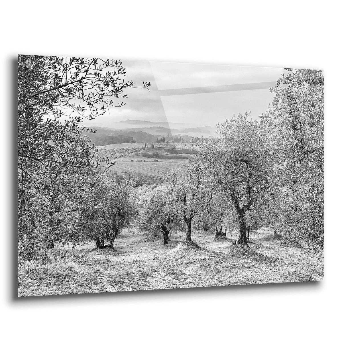 Acrylic Glass Wall Art 36"x24" C57645