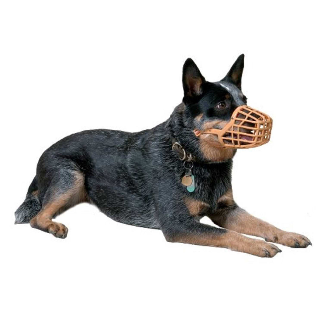 Muzzle B399776