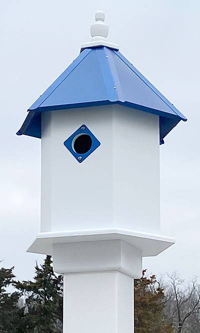 Cobalt Bird House H973247