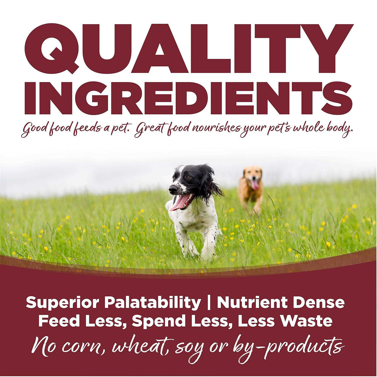 Beef Rice Dry Dog Food A6919