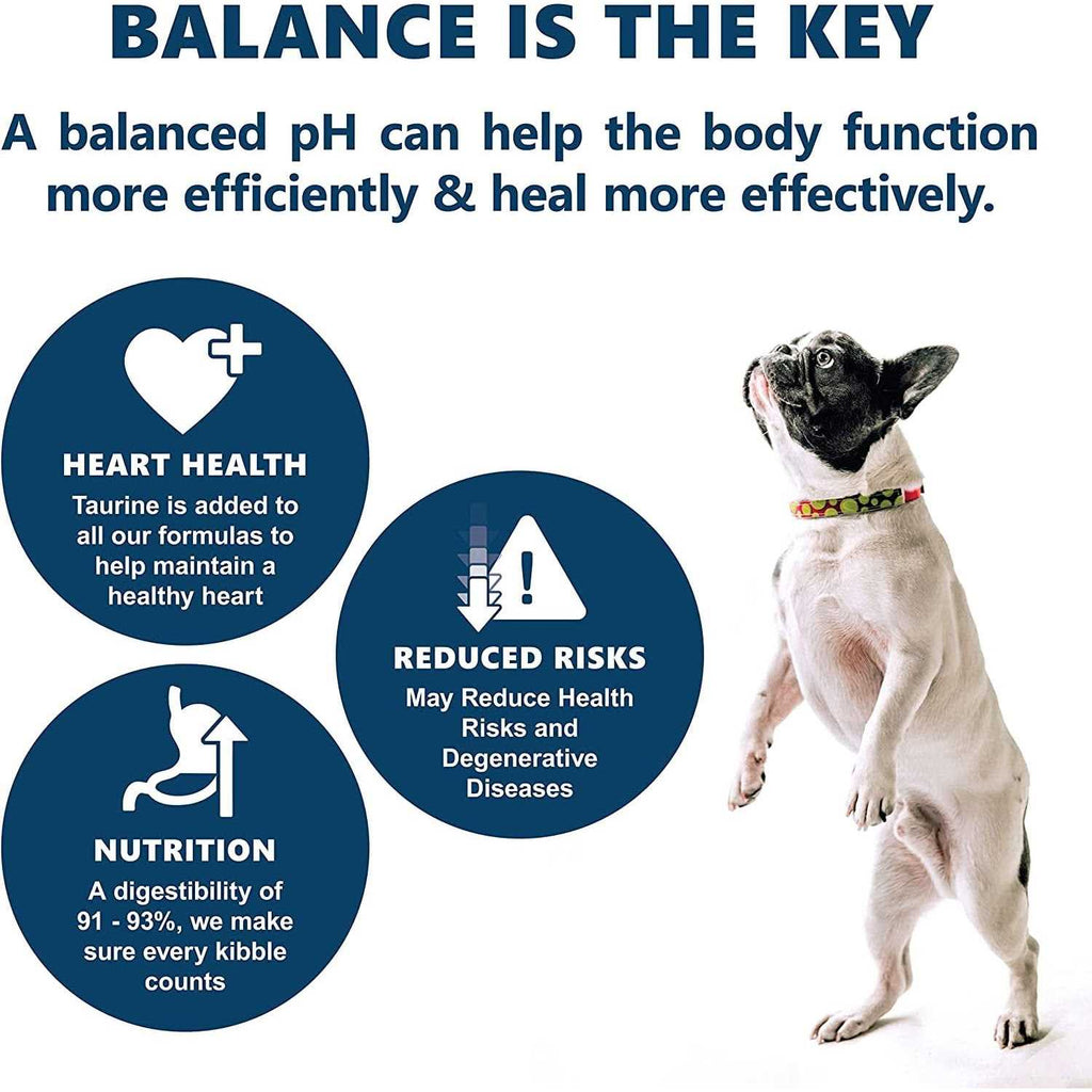 Holistic Dry Dog Food A5912
