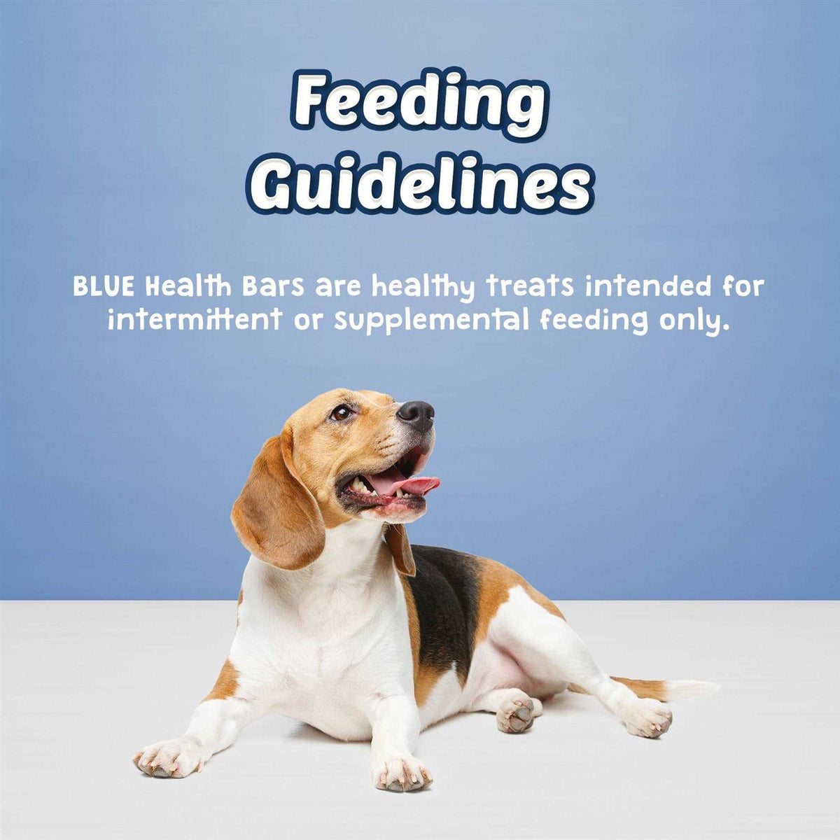 Dog Biscuits Y4858
