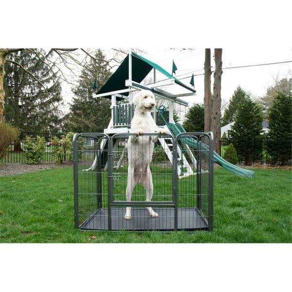 Heavy Duty Pet Training Kennel Crate N883579