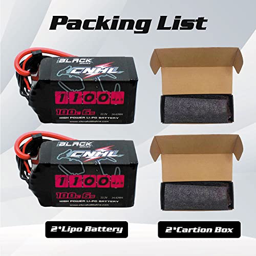 6S 1100mAh 100C 22.2V Lipo Battery with XT60 Plug (2 PCS) L350998
