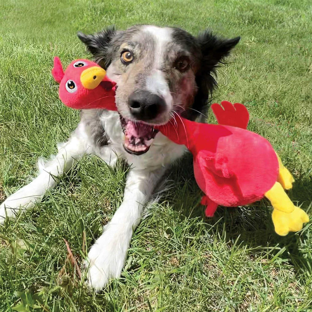 Dog Toy Rooster B44706