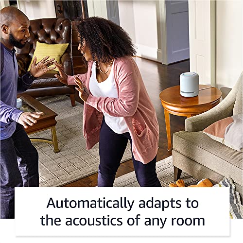 Charcoal Amazon Echo Studio R212594