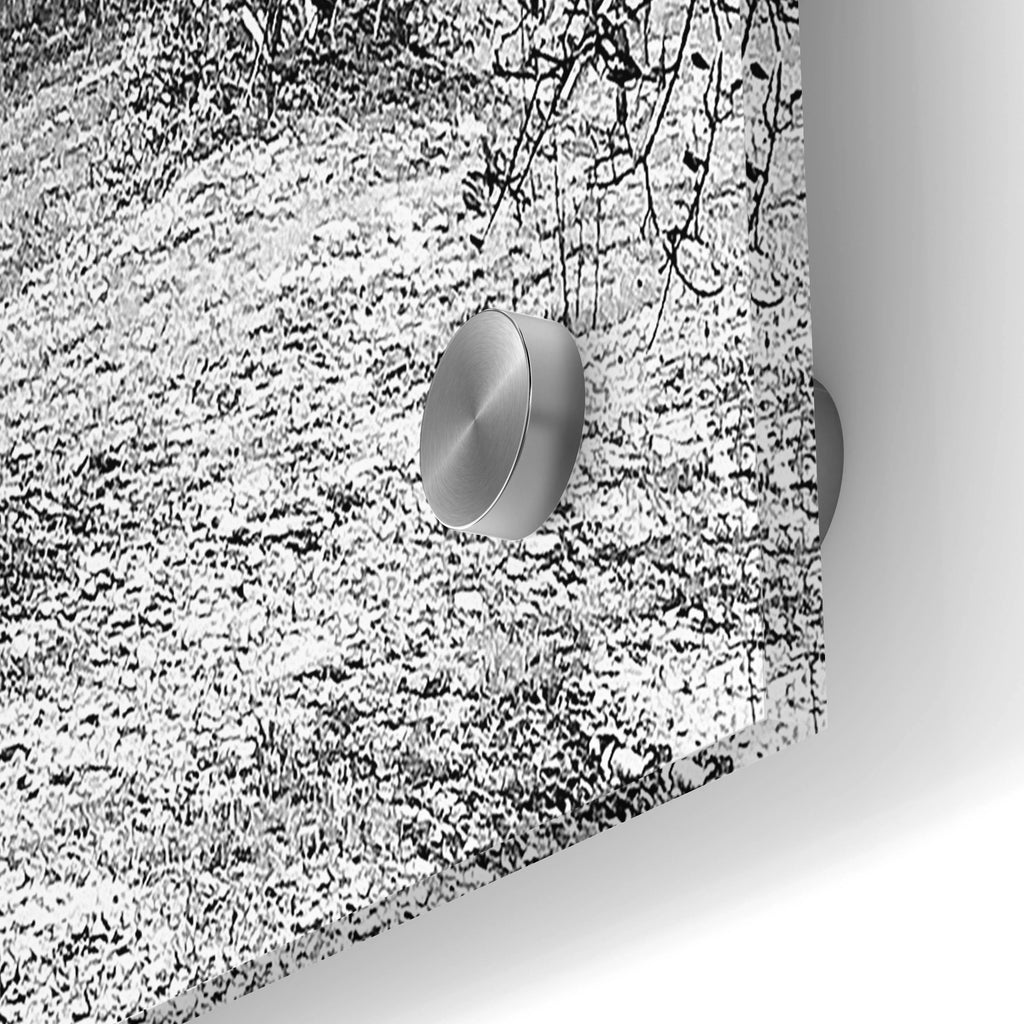 Acrylic Glass Wall Art 36"x24" C57645