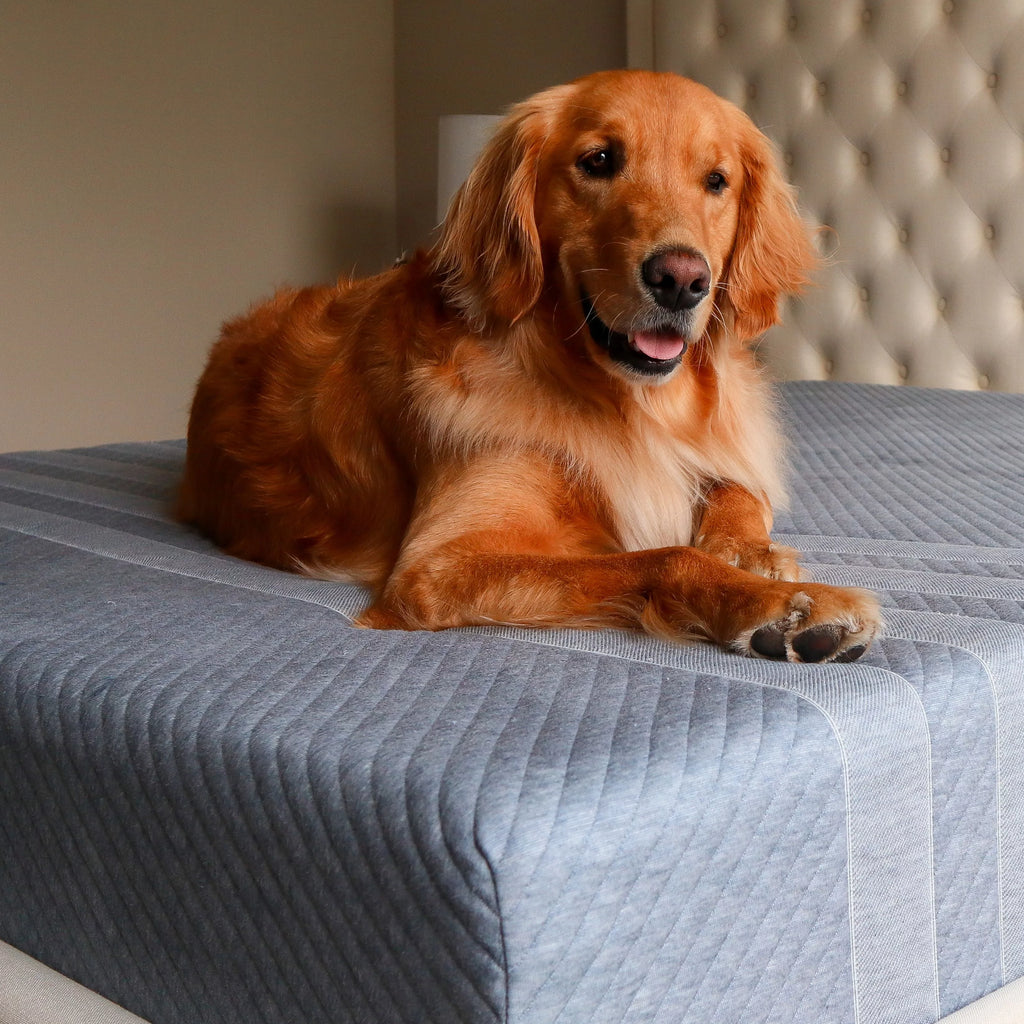 Queen Memory Foam Mattress N42855