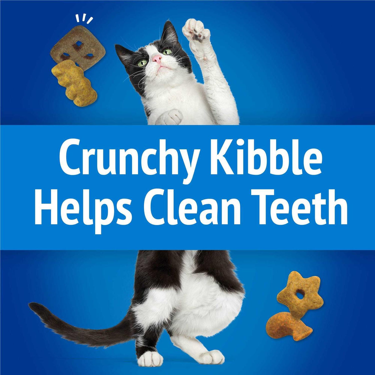 Cat Treats Party Mix Crunch I478