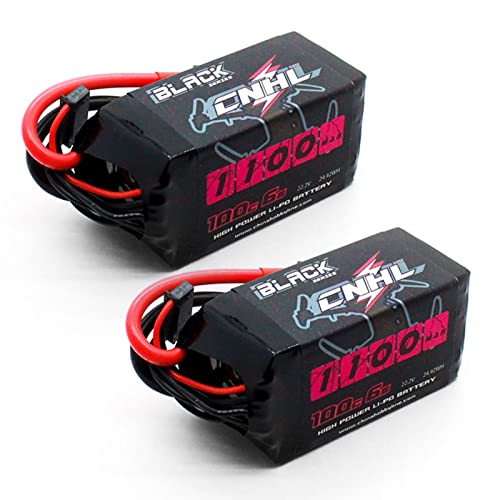 6S 1100mAh 100C 22.2V Lipo Battery with XT60 Plug (2 PCS) L350998
