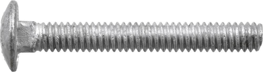 5/16-in x 2-1/2-in Galvanized Coarse Thread Exterior Carriage Bolt (10-lb) N486