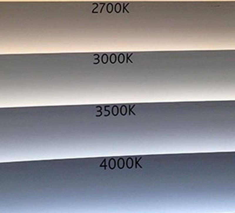 Haze White LED Module Trim F683774