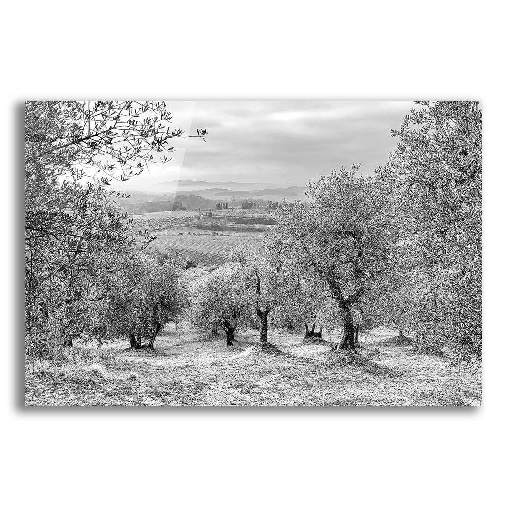 Acrylic Glass Wall Art 36"x24" C57645