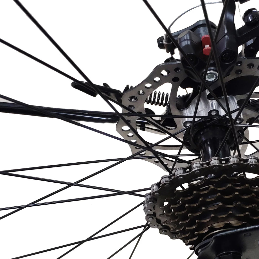 26-Inch Wheels 21 Speed Dual Disc Brake Mountain Bike N899