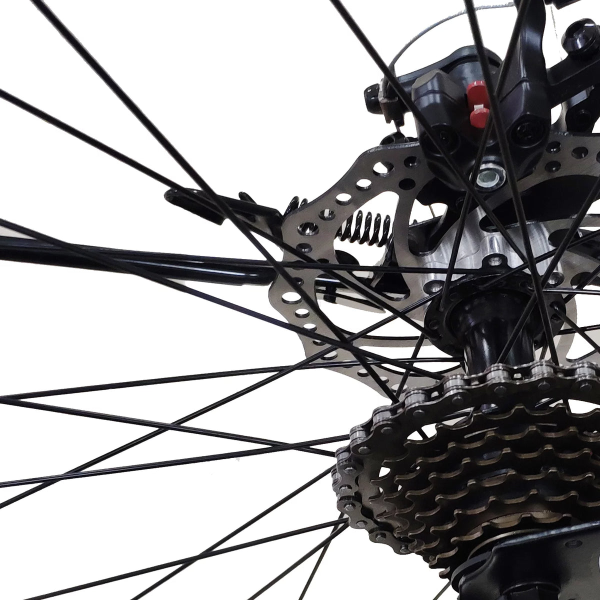 26-Inch Wheels 21 Speed Dual Disc Brake Mountain Bike N899