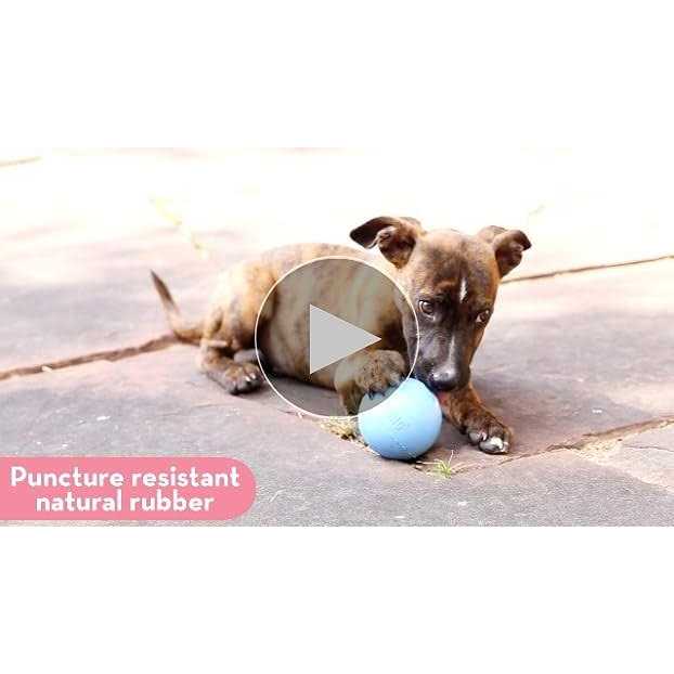 Puppy Ball with Hole Dog Toy W3956