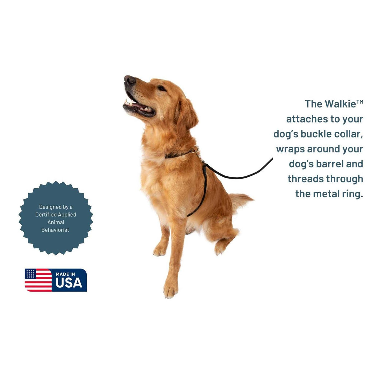 No Pull Dog Leash B4075