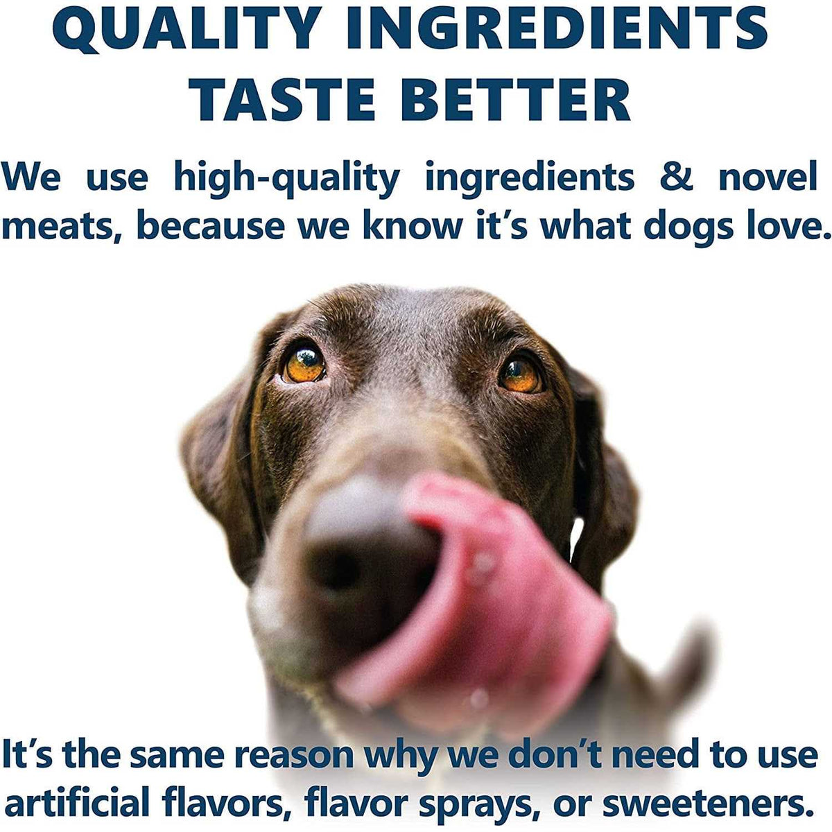 Holistic Dry Dog Food A5912