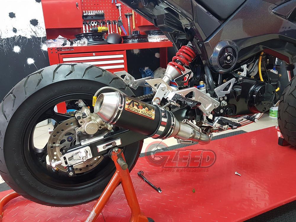Dual Low Mount Exhaust B771374