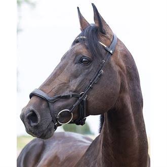 Bridle N31470
