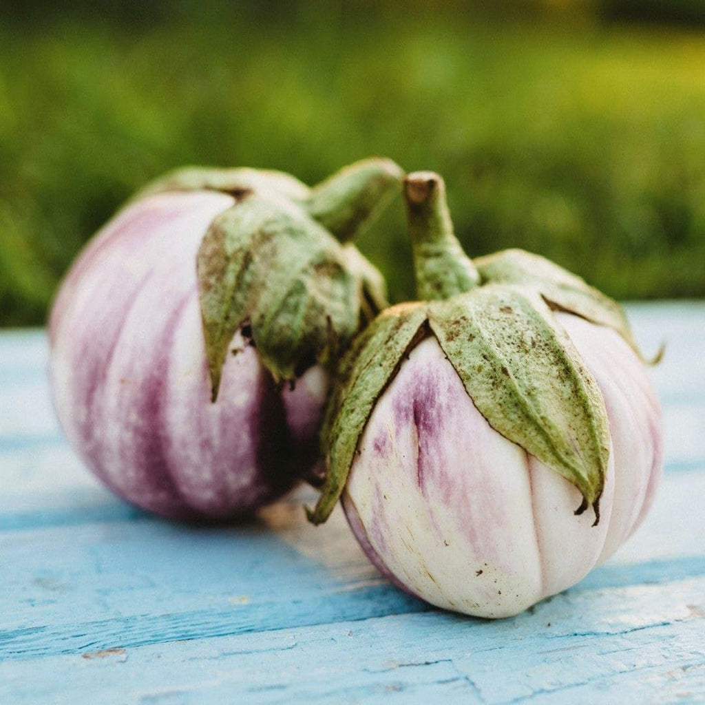25 Seeds Italian Heirloom Eggplant H8386