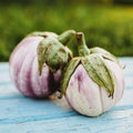 25 Seeds Italian Heirloom Eggplant H8386