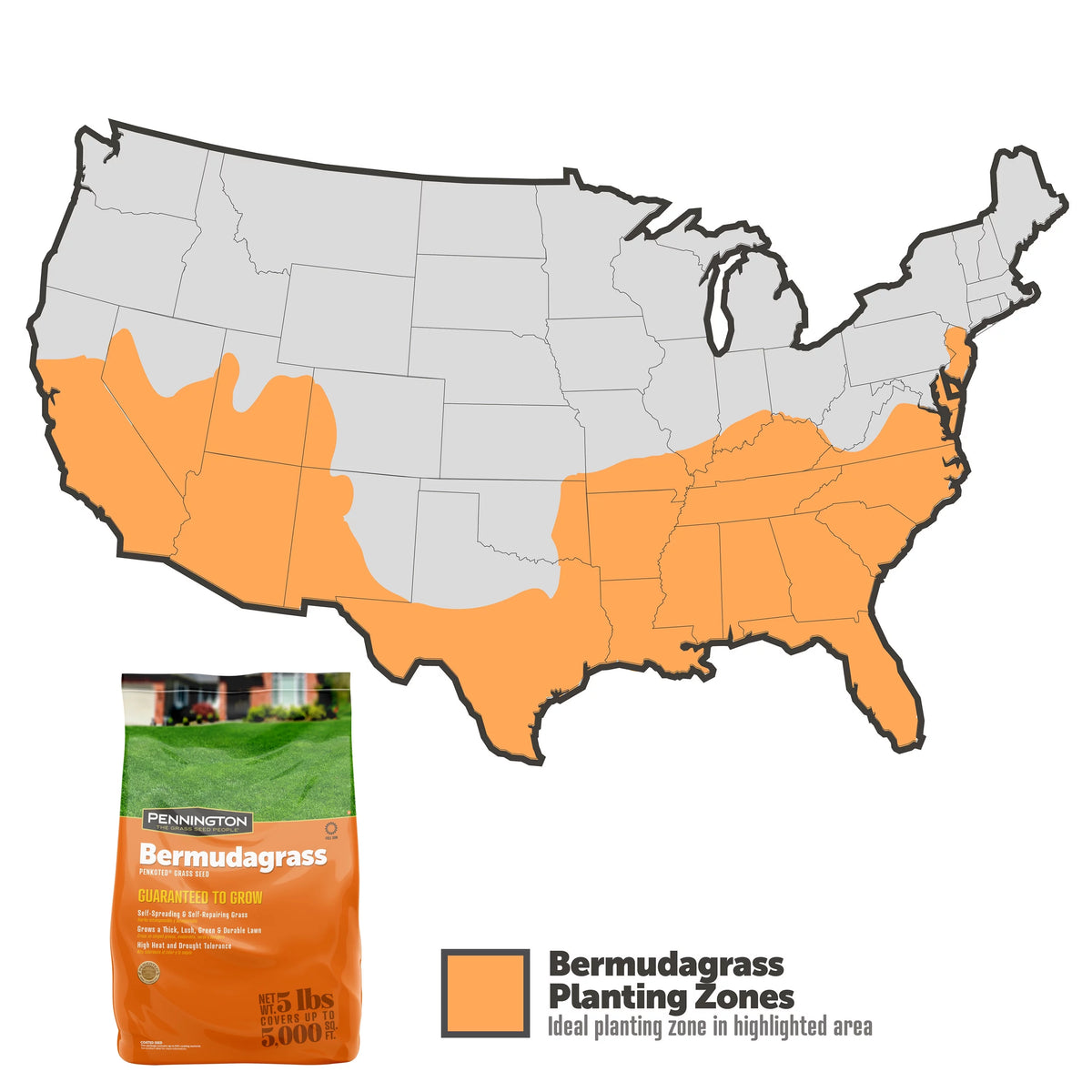 Sahara Bermudagrass Grass Seed, 5 lb. K9710