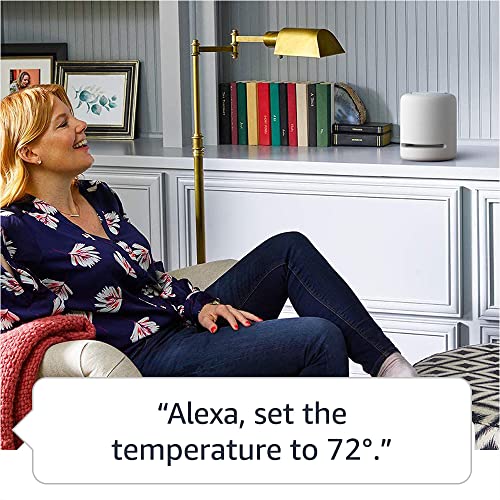 Charcoal Amazon Echo Studio R212594