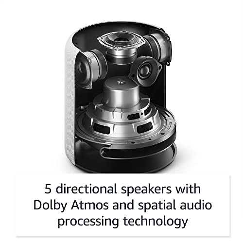 Charcoal Amazon Echo Studio R212594