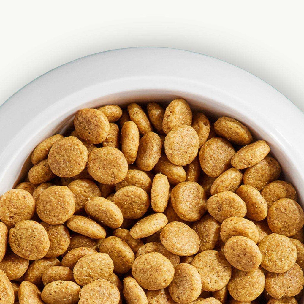 Large Breed Adult Lamb & Rice Dry Dog Food M9458