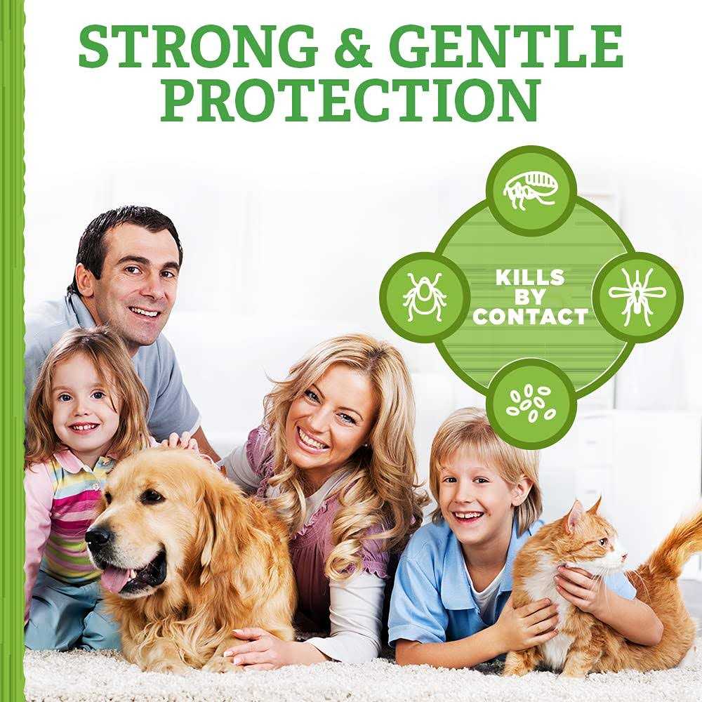 Flea and Tick Carpet Powder Q645122