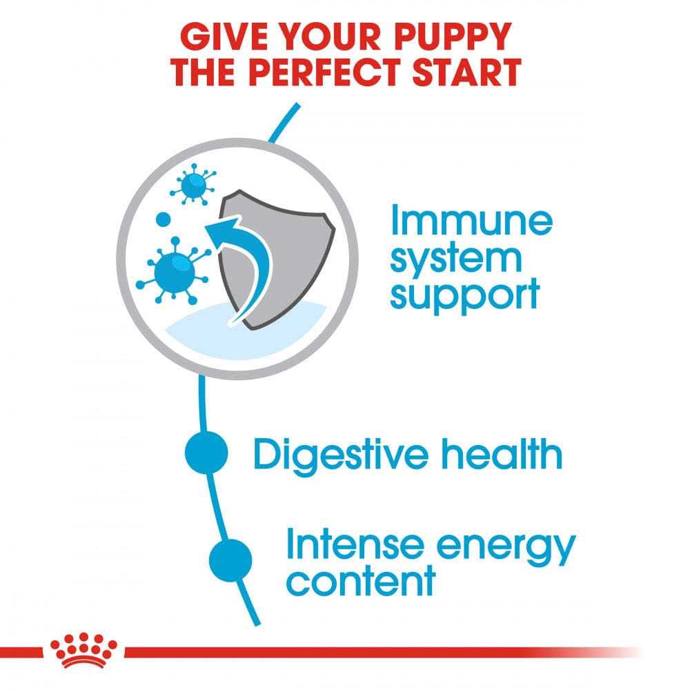 Small Puppy Dry Dog Food Y583494
