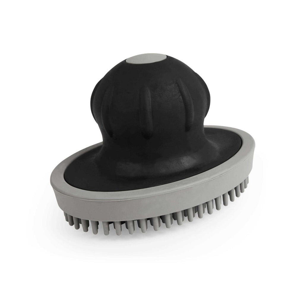 Curry Shampoo Dispensing Brush for Dogs F110658