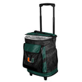 Rolling Cooler Q295
