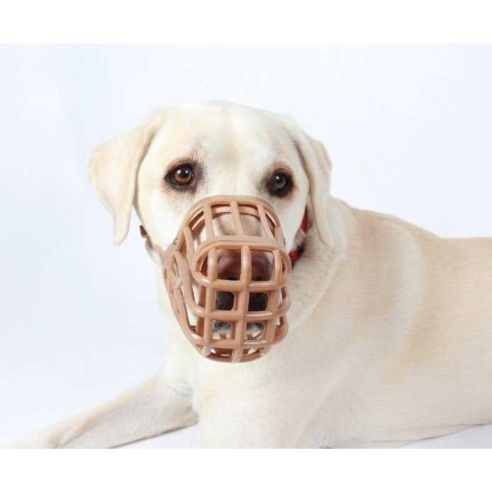 Muzzle B399776