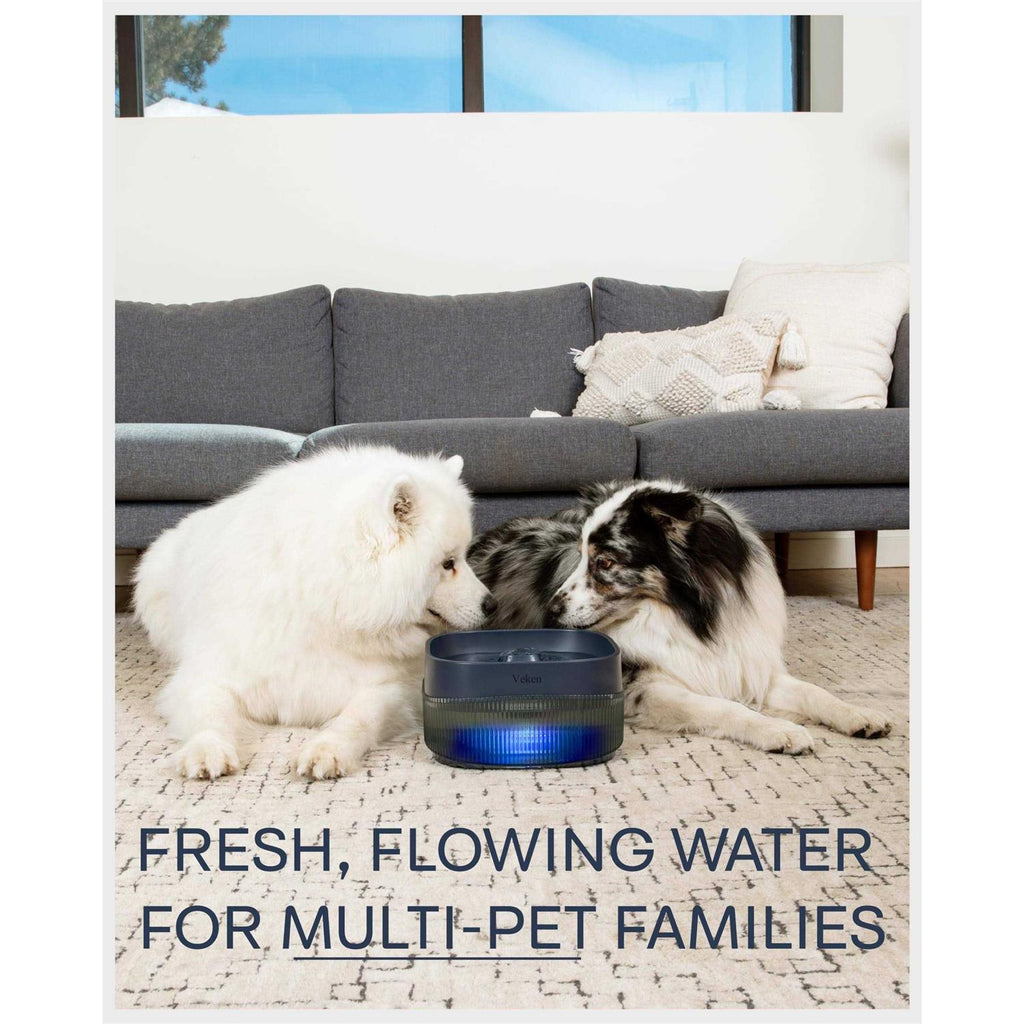 4L Automatic Dog Water Fountain L7824