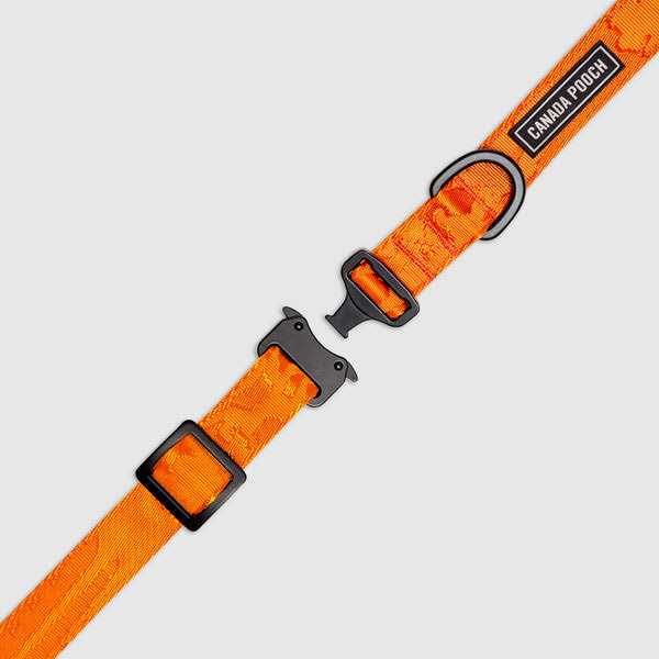 Utility Dog Collar P887153