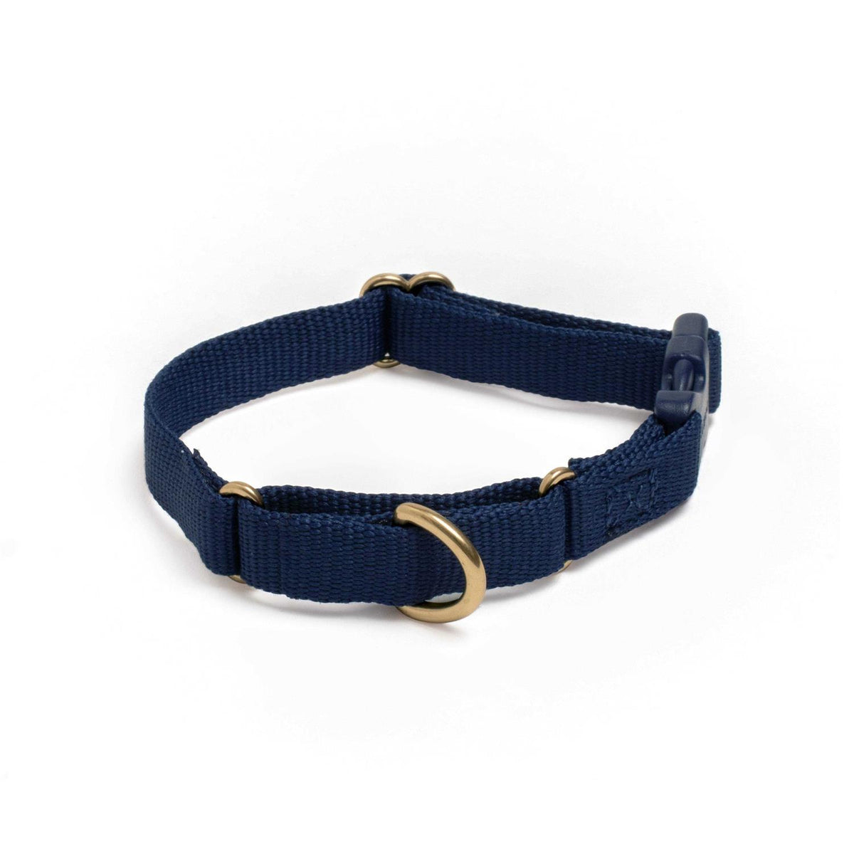 Martingale Dog Collar W85039