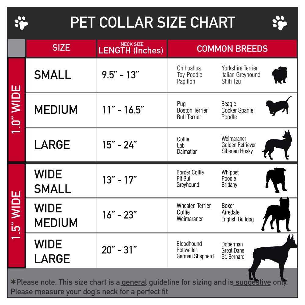 Dog Collar Seatbelt Buckle J554336