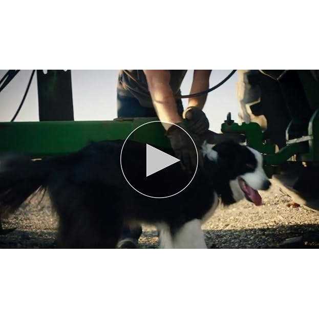 Cat Dry Food H59983