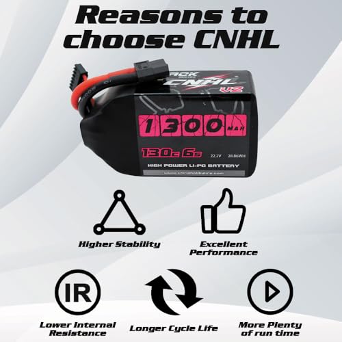 6S 1100mAh 100C 22.2V Lipo Battery with XT60 Plug (2 PCS) L350998