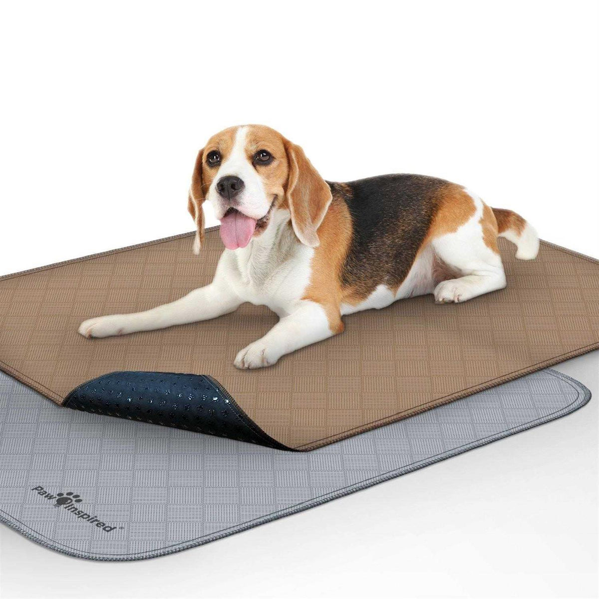 Washable Reusable Pee Pads for Dogs R59867