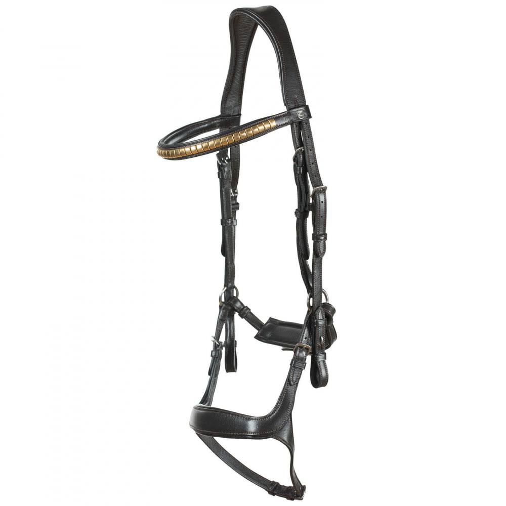 Bridle N31470