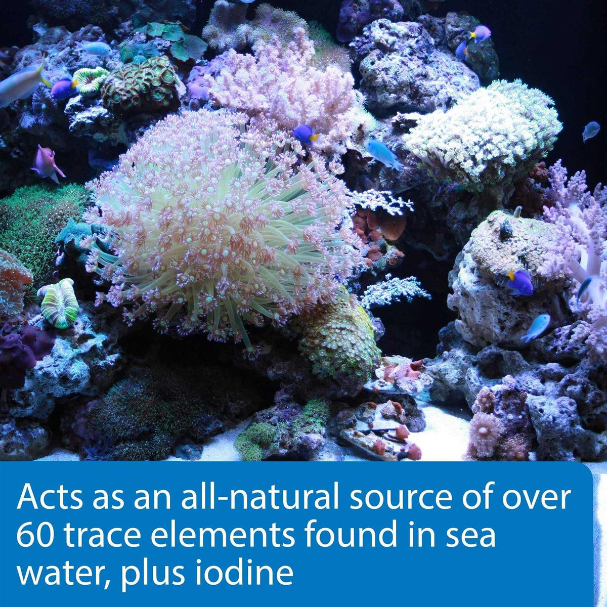 Aquarium Water Conditioner D5955