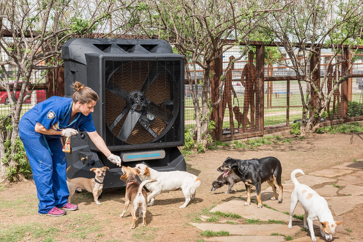 Portable Evaporative Cooler J7149